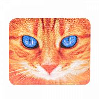 Кожаный карт-холдер для карт с принтом "Рыжий кот" фото