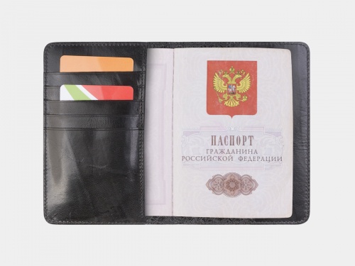 Обложка на паспорт с фамилией "Ёжик в тумане" фото фото 3