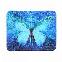 Холдер под пластиковые карты и купюры с принтом "Синяя бабочка" фото