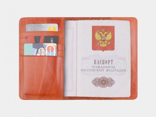 Обложка для паспорта с кармашками "Бемби" фото фото 3